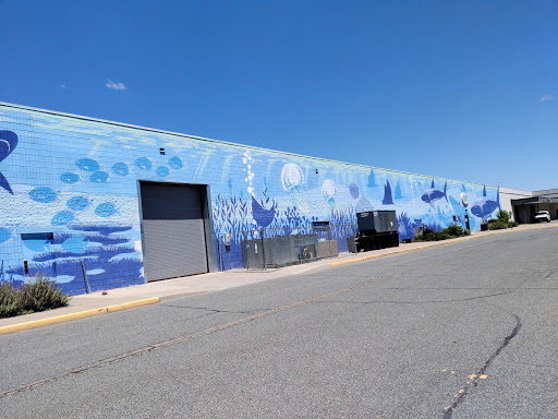 Aquarium «Via Aquarium», reviews and photos, 93 W Campbell Rd, Schenectady, NY 12306, USA