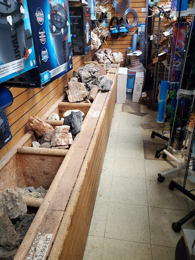 Tropical Fish Store «Fish Den Inc.», reviews and photos, 5055 W 44th Ave, Denver, CO 80212, USA