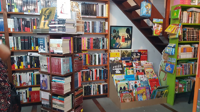 Libreria La Paloma Mensajera - Rocha