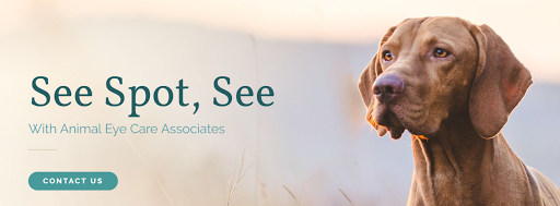 Animal Eye Care Associates image