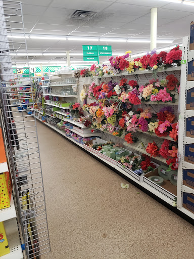 Dollar Store «Dollar Tree», reviews and photos, 1001 W County Line Rd, Hatboro, PA 19040, USA