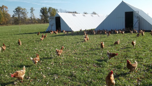 Poultry farm Lansing