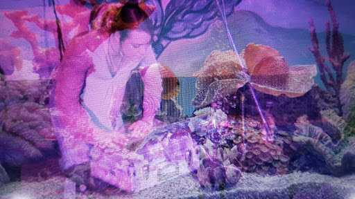 Night Club «The Depot Brewery», reviews and photos, 401-409 W Depot Ave, Fairfield, IA 52556, USA