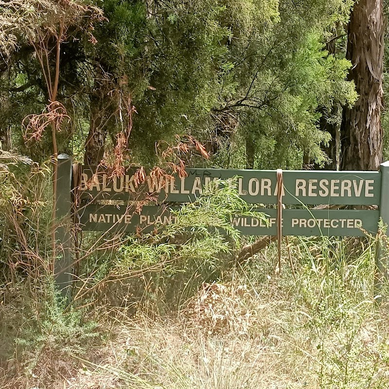 Baluk Willam Nature Conservation Reserve