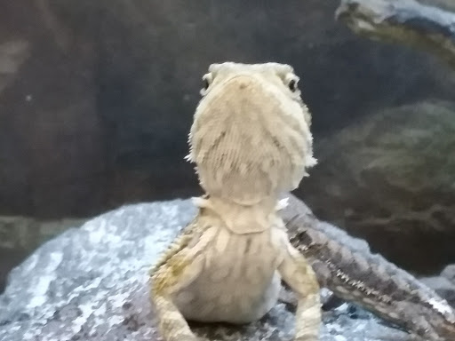 Pet Supply Store «Petco Animal Supplies», reviews and photos, 217 Oak Lee Dr #16, Ranson, WV 25438, USA