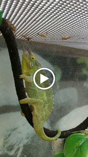 Pet Supply Store «Petco Animal Supplies», reviews and photos, 30697 US Hwy 19 N, Palm Harbor, FL 34684, USA