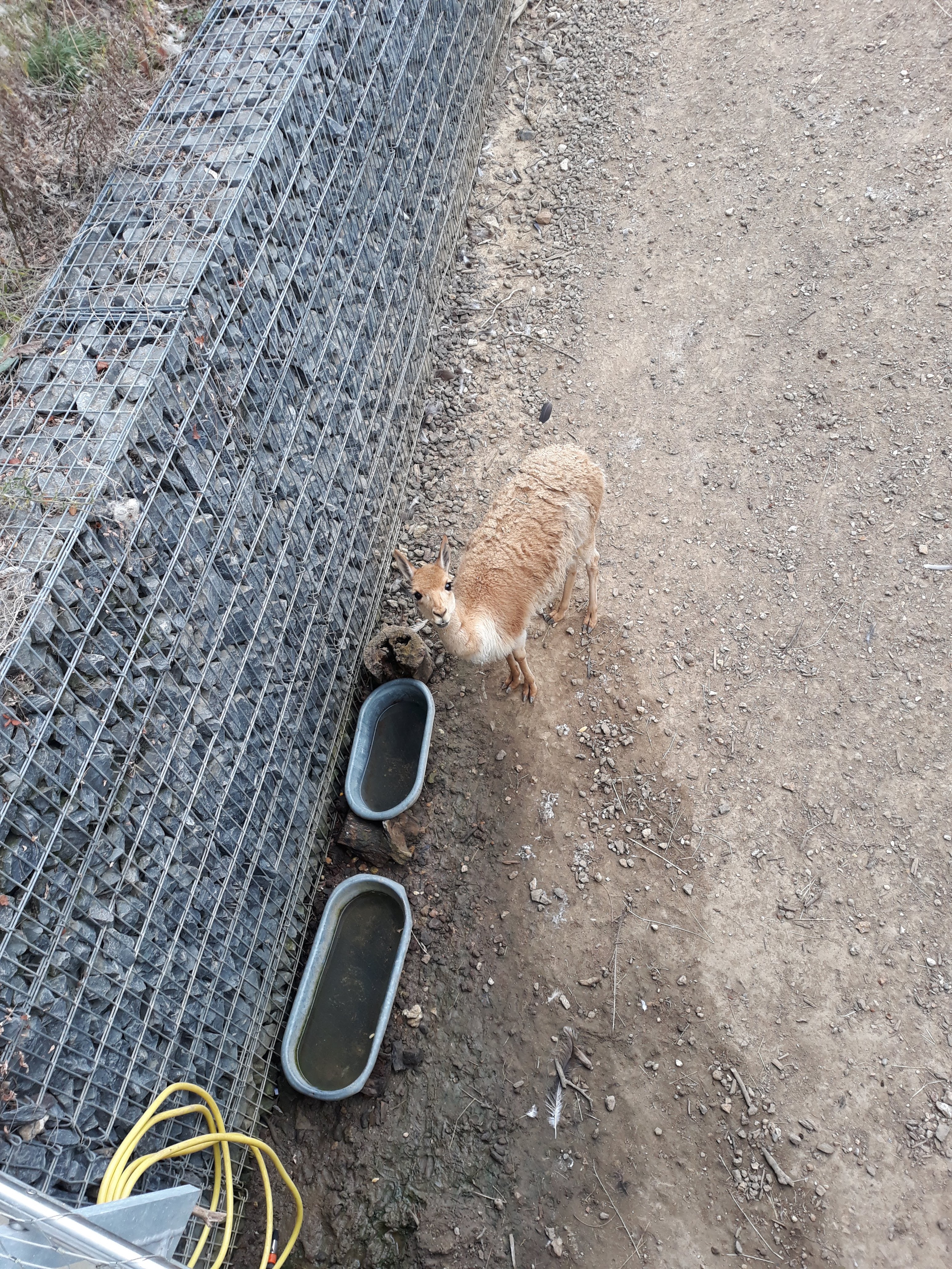 Photo n° 43 de l'avis de Ludo.a fait le 30/08/2021 à 17:15