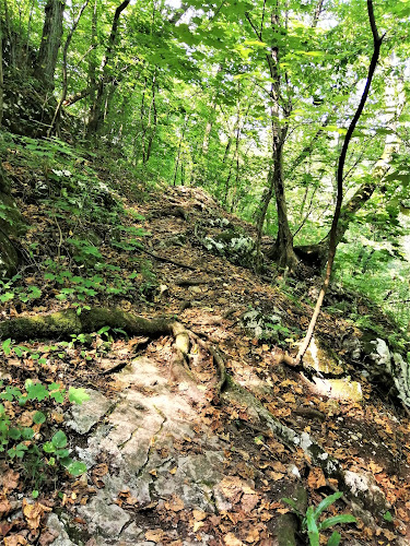 Értékelések erről a helyről: Büdös Pest barlang, Miskolc - Múzeum