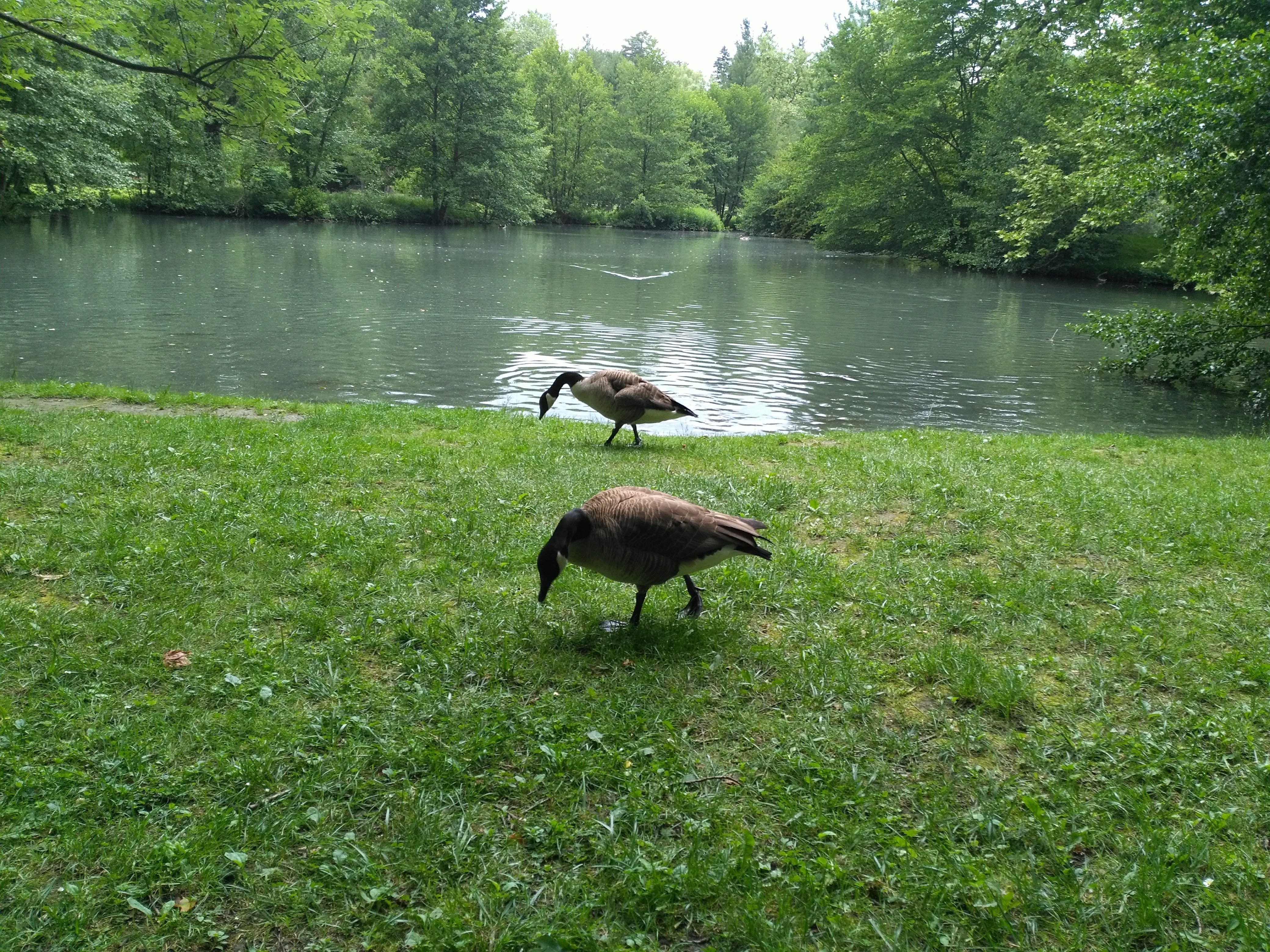 Photo n° 4 de l'avis de Bruno.E fait le 29/06/2017 à 05:10