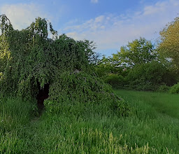 Pfuhlgelände an der Britzer Straße photo