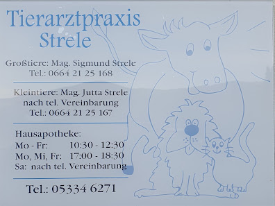 Tierarztpraxis Strele Mühltal 25, 6363 Westendorf, Österreich