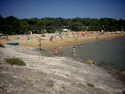 Photo de Punta Lunga Beach avec un niveau de propreté de très propre