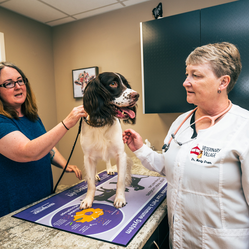 Checkout Veterinary image