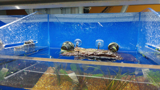 Pet Supply Store «Pet Supermarket, Inc.», reviews and photos, 6755 W Indiantown Rd, Jupiter, FL 33458, USA