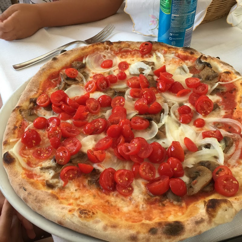 Trattoria Pizzeria Al Cavallino
