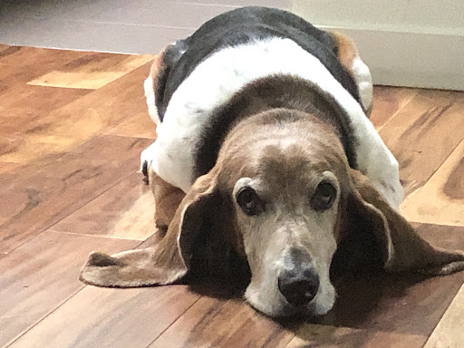 13949 Peyton Dr, Dallas, TX 75240, USA