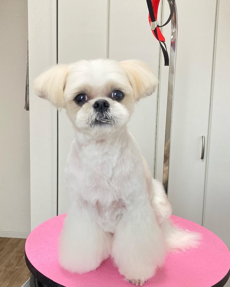 Dog Salon onelife