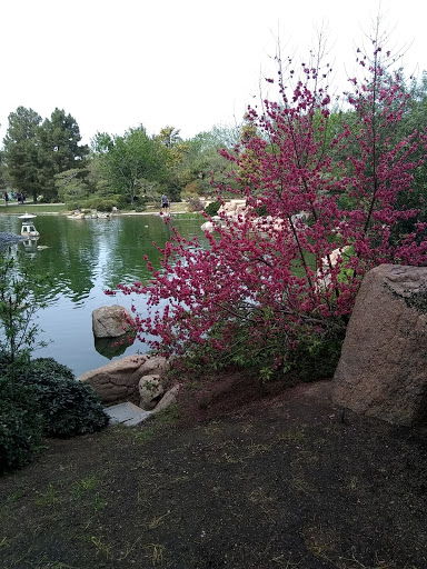 Park «Margaret T. Hance Park», reviews and photos, 67 W Culver St, Phoenix, AZ 85003, USA