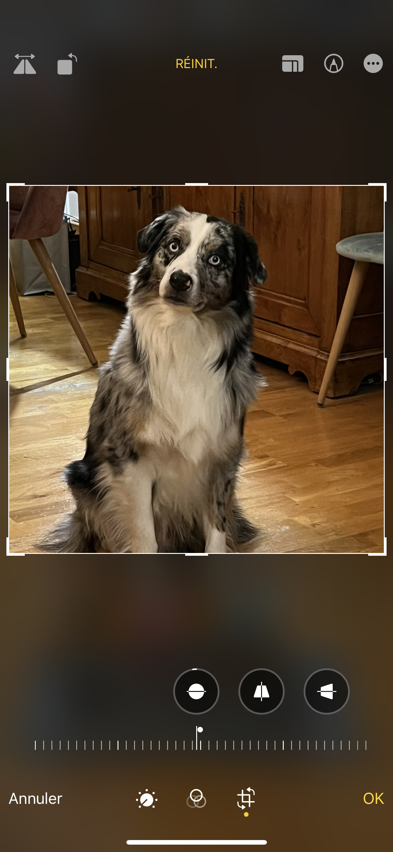 Photo n° 2 de l'avis de Thérèse.e fait le 16/02/2024 à 15:29