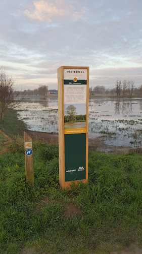 9830 Sint-Martens-Latem, België