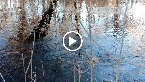 Hiking Area «Den Rock Park», reviews and photos, Stirling St, Andover, MA 01810, USA