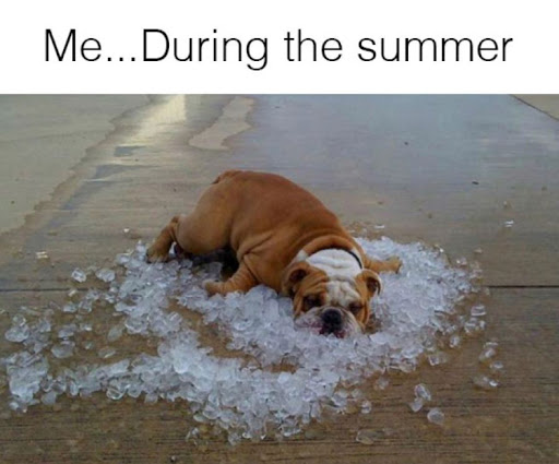 Air Conditioning Contractor «AC Pros», reviews and photos