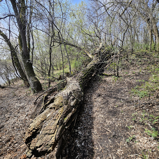 Beaver Island Trail