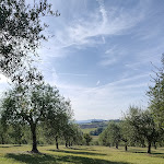 Photo n°4 de l'avis de Vale. fait le 11/08/2023 à 19:58 sur le  Tenuta dei Mori | Wine, Relais, Events à Villanova