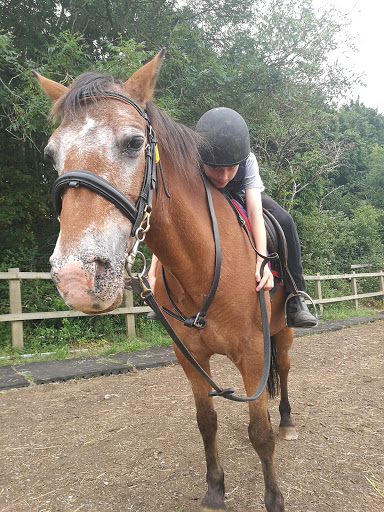 Red Piece Equestrian Stables