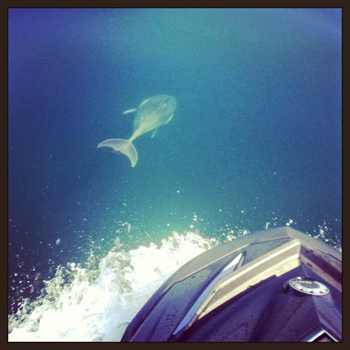 Water Sports Equipment Rental Service «Balboa Water Sports», reviews and photos, 702 E Balboa Blvd, Newport Beach, CA 92661, USA