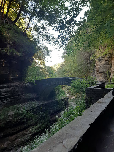 Tour Agency «Experience! The Finger Lakes», reviews and photos, 501 Warren Rd, Ithaca, NY 14850, USA