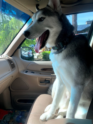 Motor Vehicle Dealer «507 Motorsports», reviews and photos, 33419 WA-507, Roy, WA 98580, USA