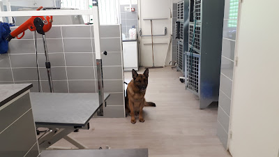 Maxi Zoo Grenoble - Echirolles à Échirolles