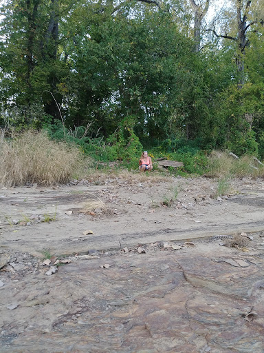 Golf Course «Shawnee Golf Course», reviews and photos, 460 Northwestern Pkwy, Louisville, KY 40212, USA