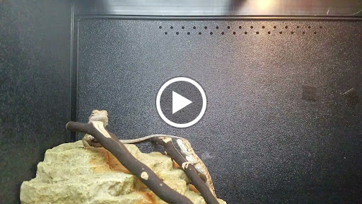 Pet Supply Store «PetSmart», reviews and photos, 2020 SW Westport Dr, Topeka, KS 66604, USA