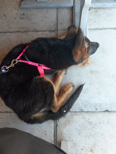 Αριθμός τηλεφώνου Νοσοκομείο ζώων Αθηνών