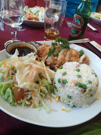 Plats et boissons du Restaurant asiatique Le Royal Aubigny à Aubigny-sur-Nère - n°8