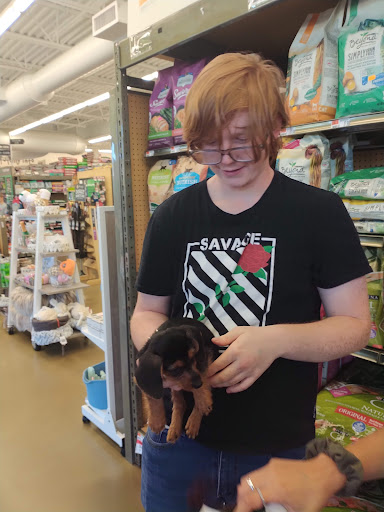 Pet Supply Store «Pet Supplies Plus», reviews and photos, 1030 Main St #10, Waltham, MA 02451, USA