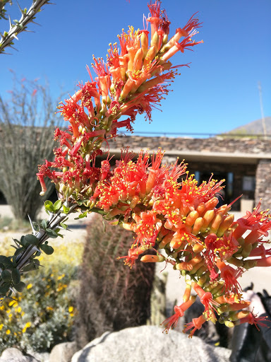 Anza-Borrego Desert State Park Visitor Center image