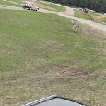 Photo n°17 de l'avis de Ossi.a fait le 06/03/2022 à 17:55 sur le  Zur Tränke à Wegeleben