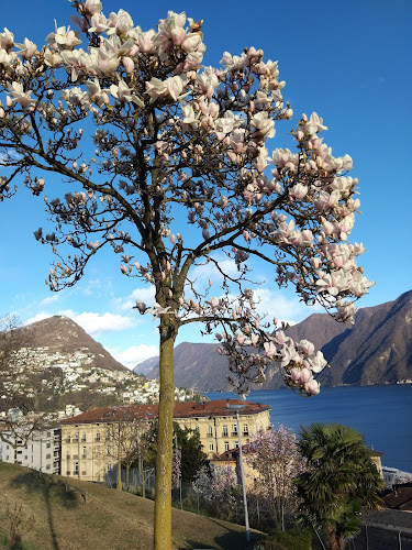 Via Foce 9 c/o Circolo Velico Lago di, 6900 Lugano, Schweiz