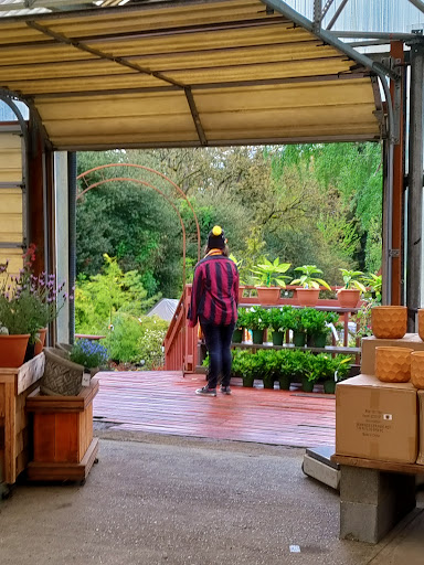 Florist «Milwaukie Floral and Garden», reviews and photos, 3306 SE Lake Rd, Milwaukie, OR 97222, USA