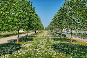 Parc départemental des Lilas image