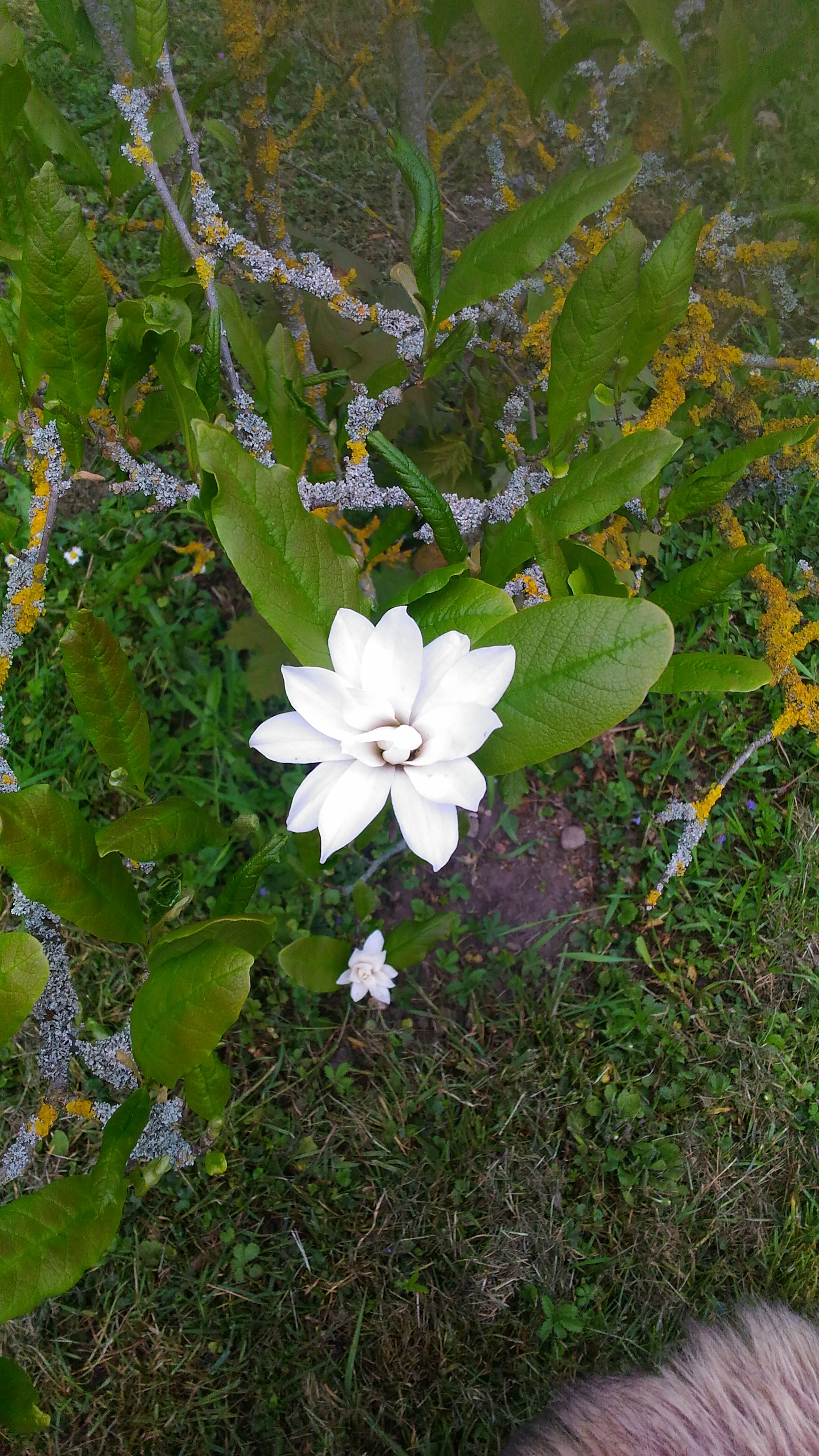 Photo n° 18 de l'avis de Chrystelle.e fait le 21/04/2019 à 16:16