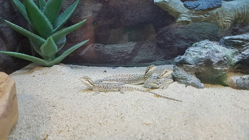 Pet Supply Store «Petco Animal Supplies», reviews and photos, 7721 Mentor Ave, Mentor, OH 44060, USA