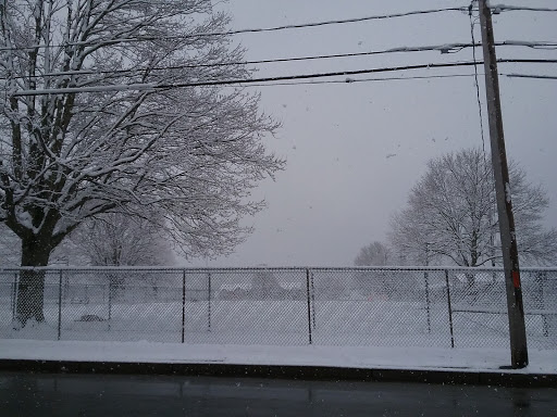 Park «Dog Park», reviews and photos, 1121 Locust St, Fall River, MA 02720, USA