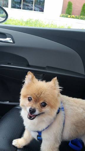 Pet Supply Store «PetSmart», reviews and photos, 2389 Taylor Park Dr, Reynoldsburg, OH 43068, USA