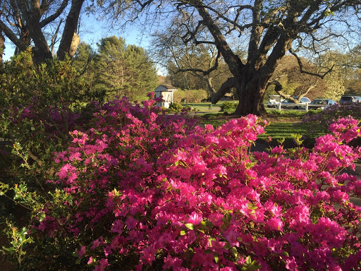 Golf Course «Holly Ridge Golf Club», reviews and photos, 121 Country Club Rd, Sandwich, MA 02563, USA