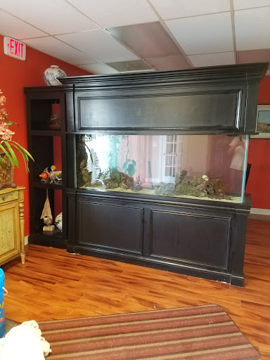 Pet Store «Sho Tank Aquariums», reviews and photos, 433 N Lake St, Mundelein, IL 60060, USA