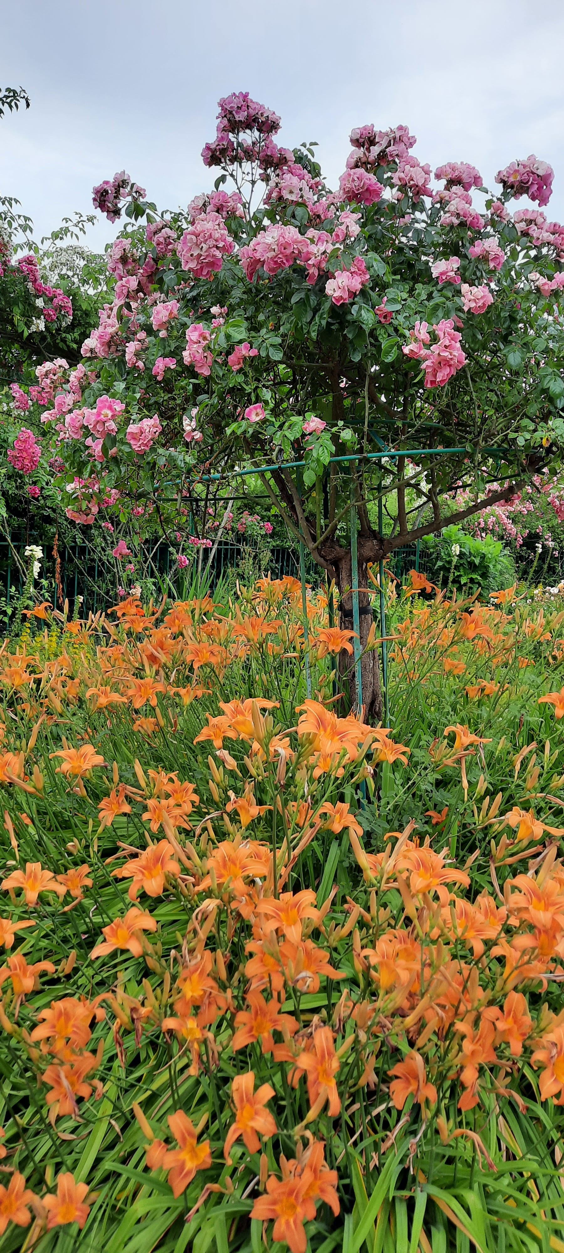 Photo n° 4 de l'avis de Guillaume.r fait le 18/06/2023 à 06:44